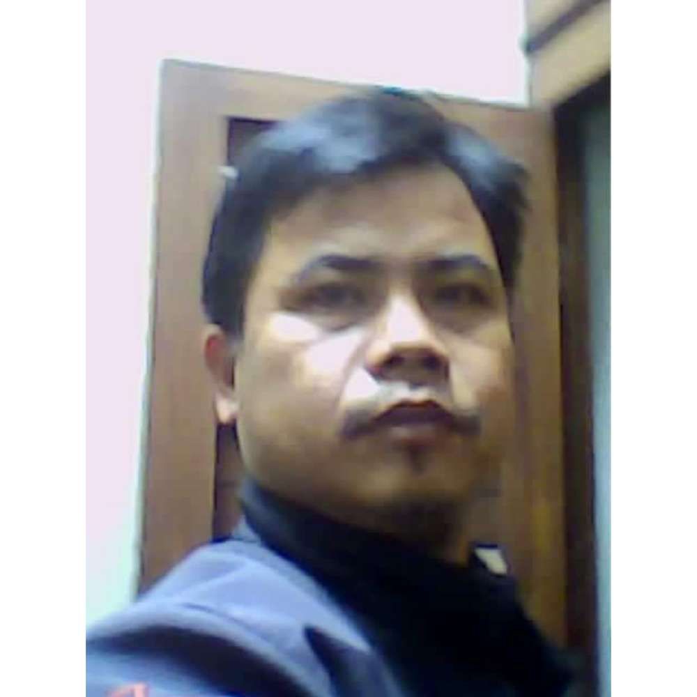 roni ronay