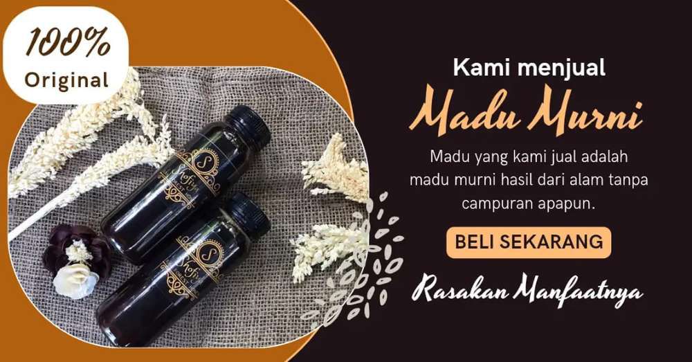 zasneri umi zaid