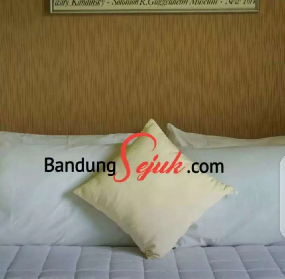 bandungsejuk.com