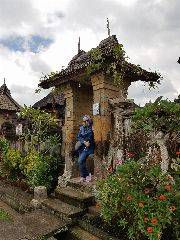 Aci Wardhani Wardhani