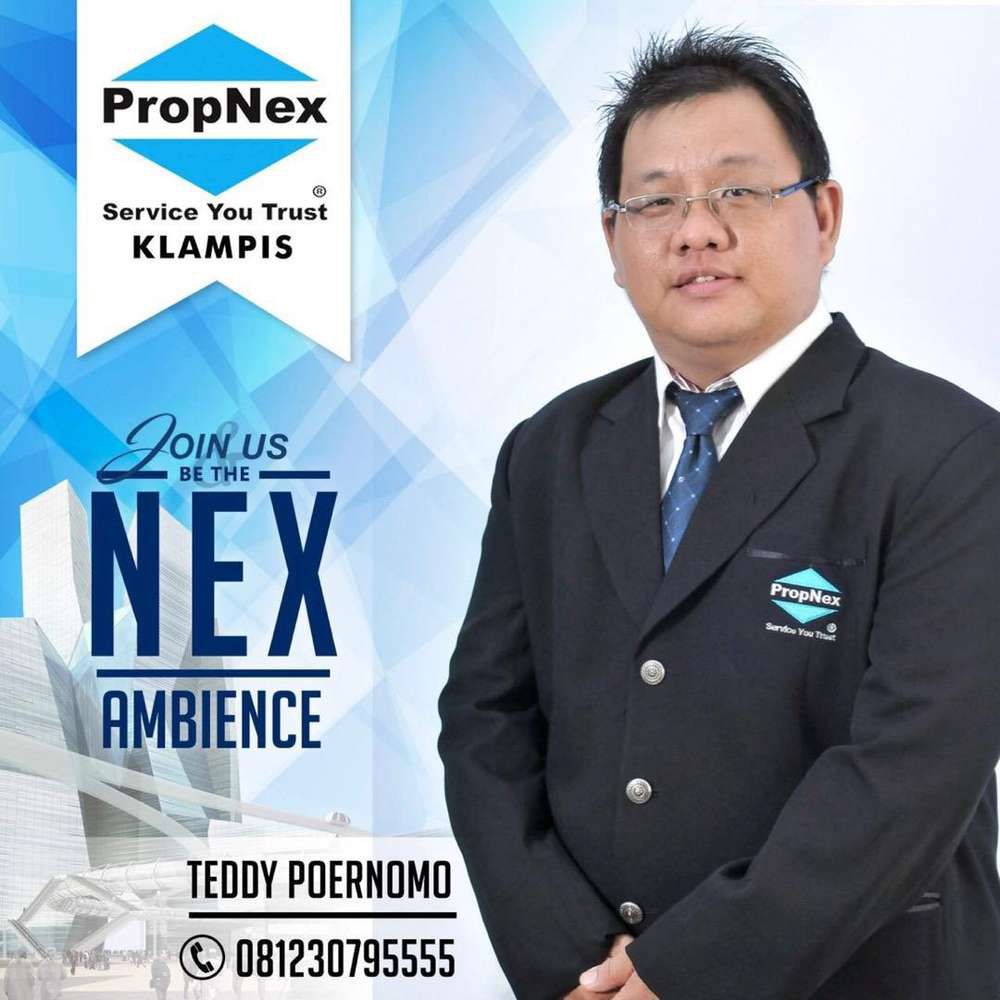 teddy pornomo