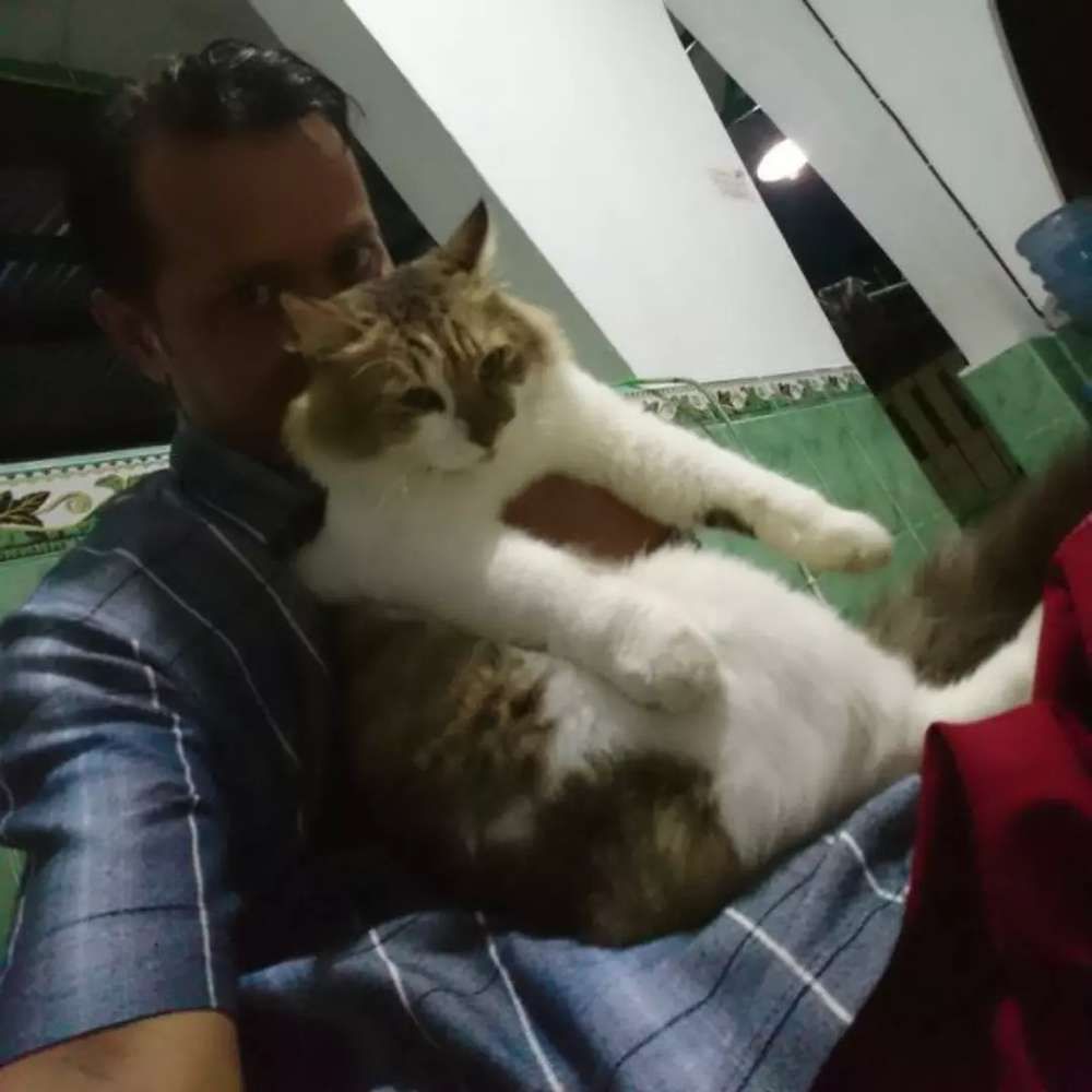 adi prihanto