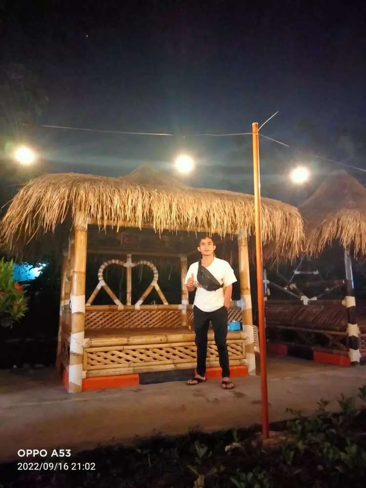 ronaldo fergusion giawa