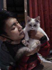 ibenk