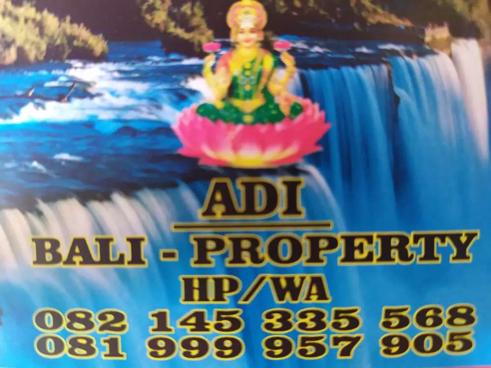 adi sanur