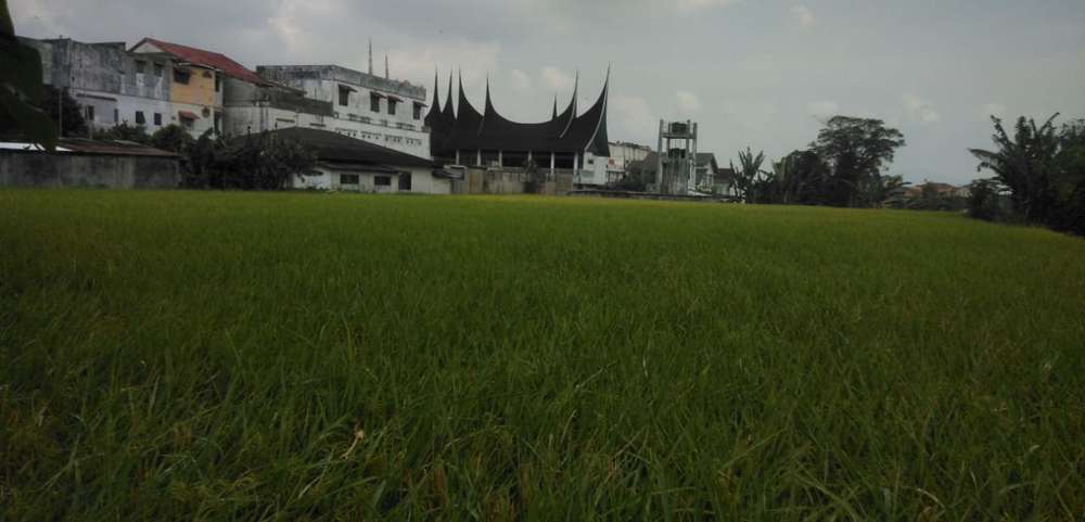 salsabila