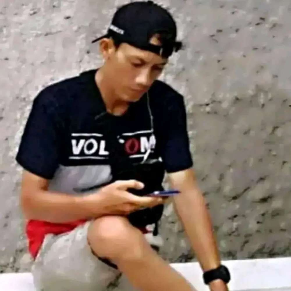 franky alfian property