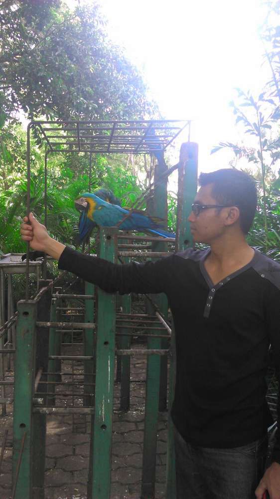 panji serayu