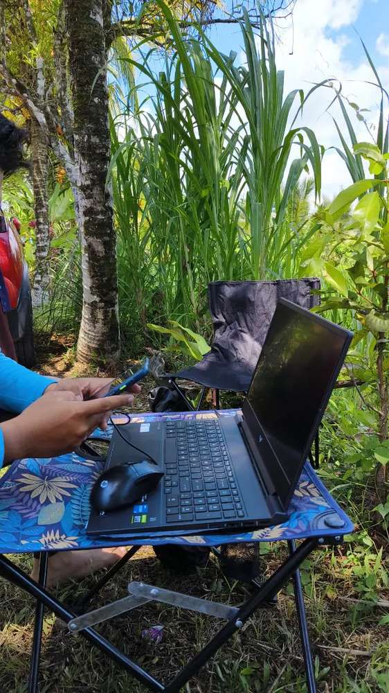 wayan (investasi cerdas bali)