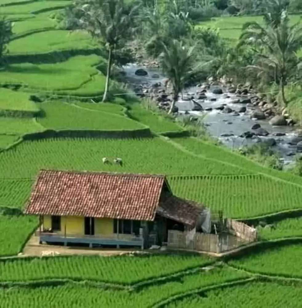 arda idris