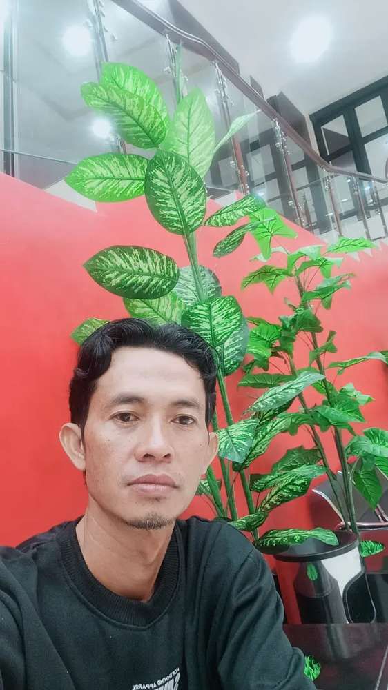 hudim281