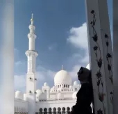 Biah Dipa
