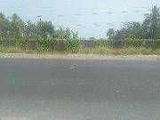 Wuland June