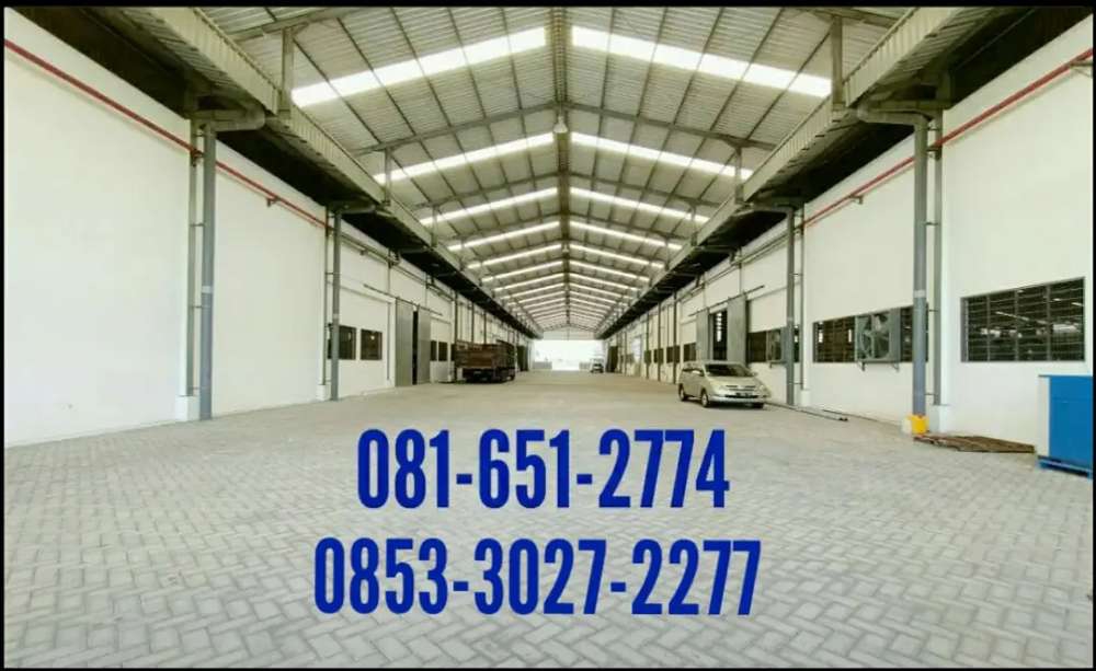 amos property