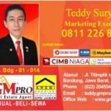 Teddy GM Pro