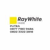 Rambo Ray White Cinere