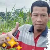 Anton Hartono