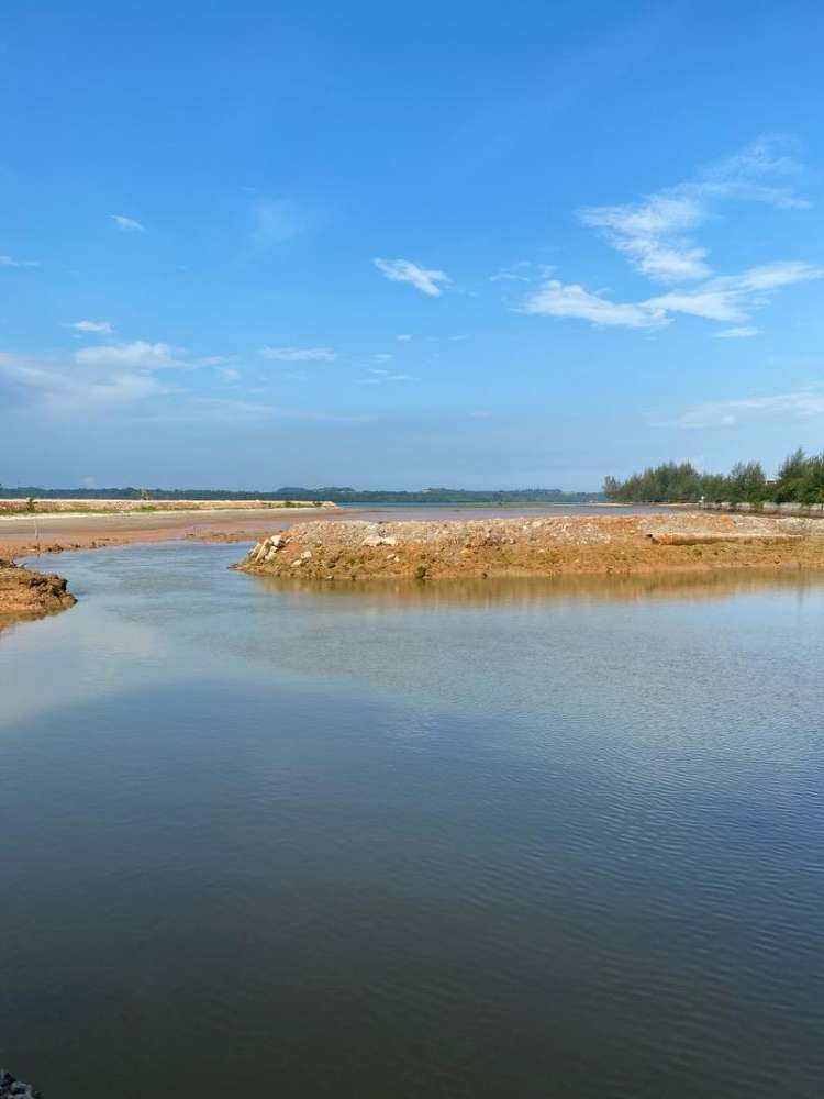 anthony bsp property