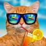 surito