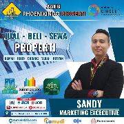 Sandy Wijaya