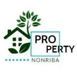 Propertynonriba