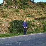ahmad  hanif