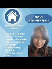 Novi