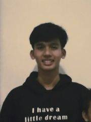 Vikram Ibrahim