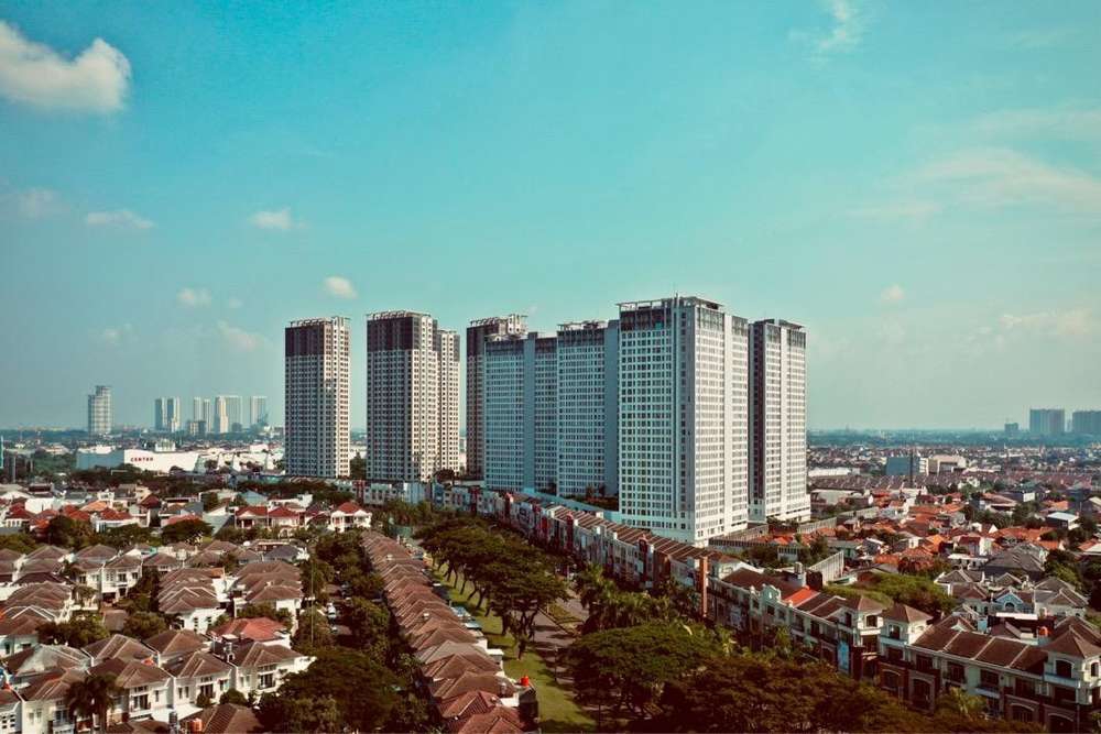 andrew william winmax