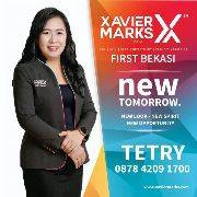 Tetry.XMarks