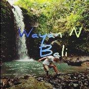 Wayan N Bali