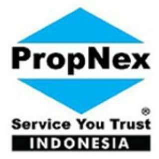 dedy propnex platinum