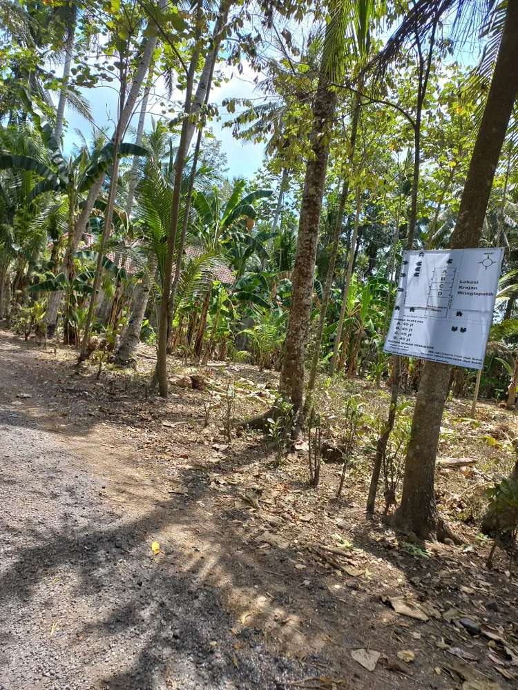 kavling termurah bwi