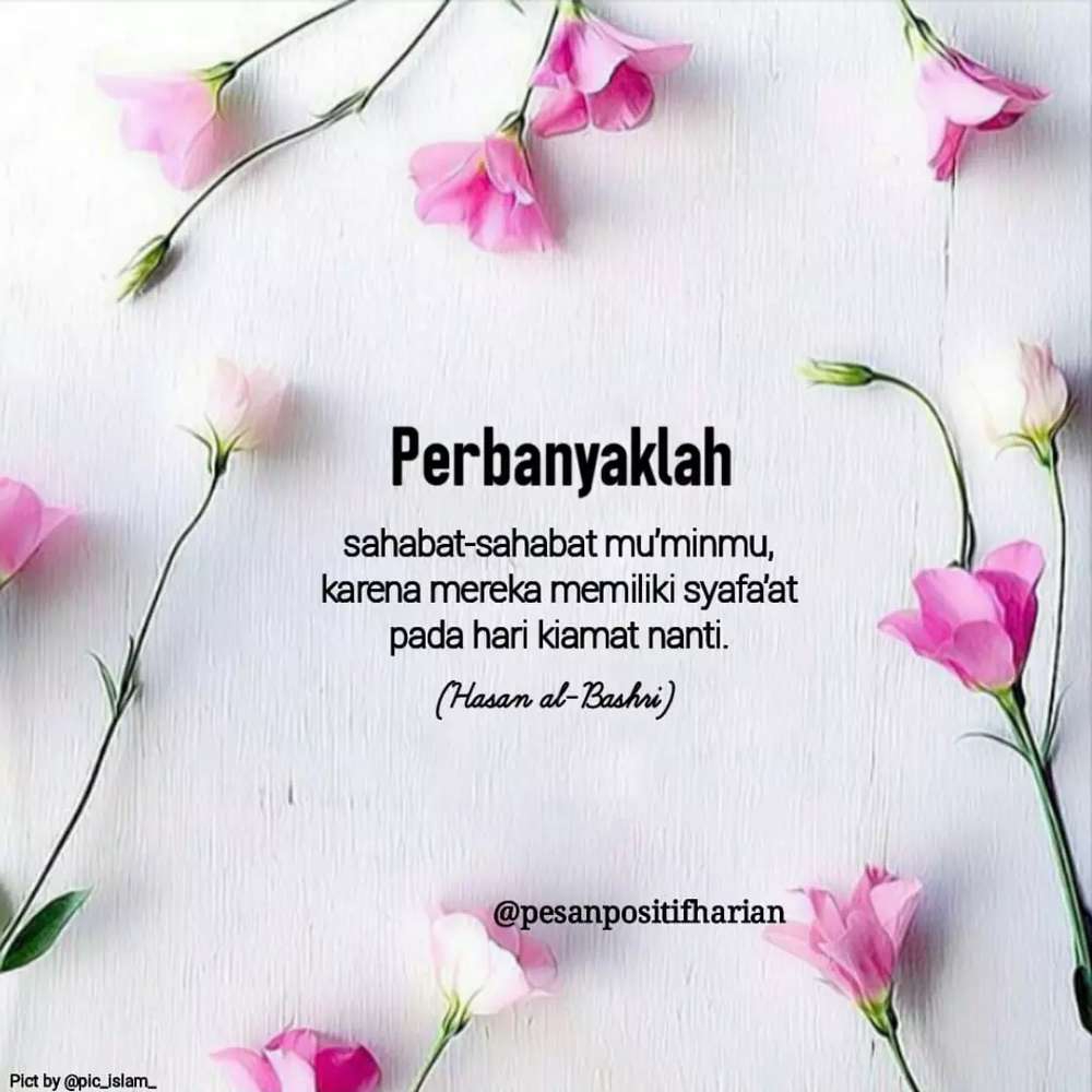 emak ternak kontrakan dan kos'an