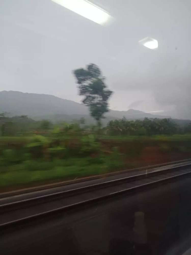 edi