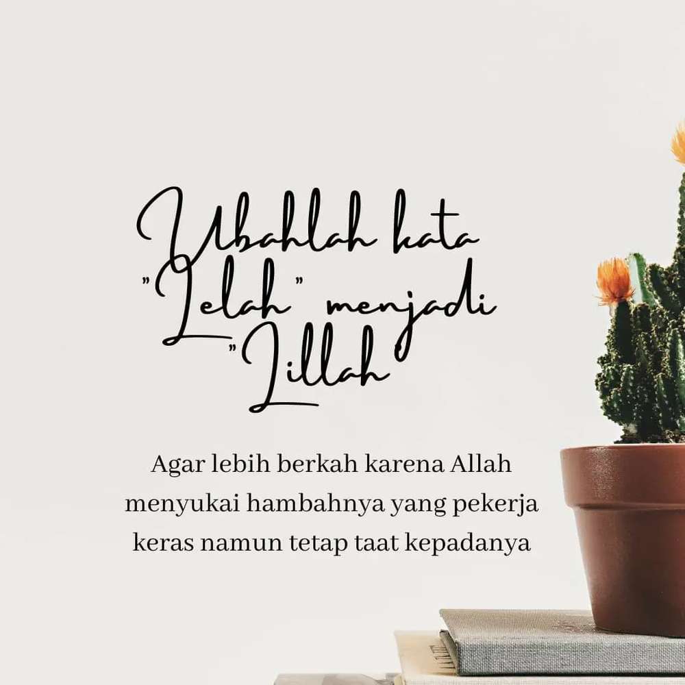 see