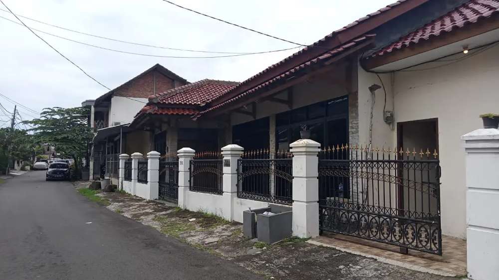 ibu ninu