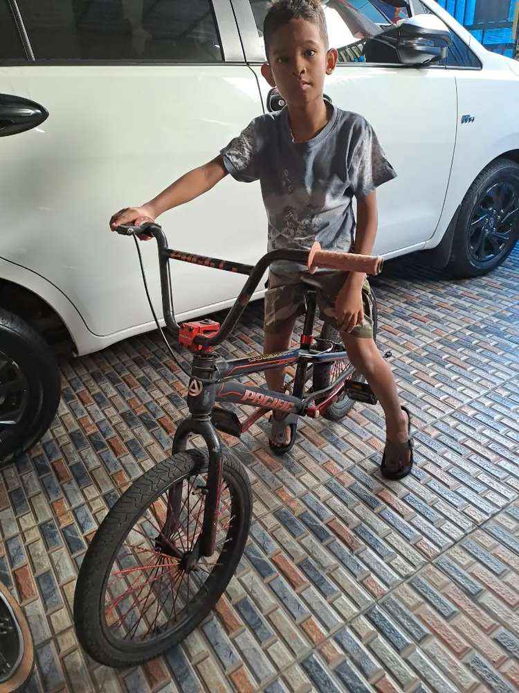 zaldy