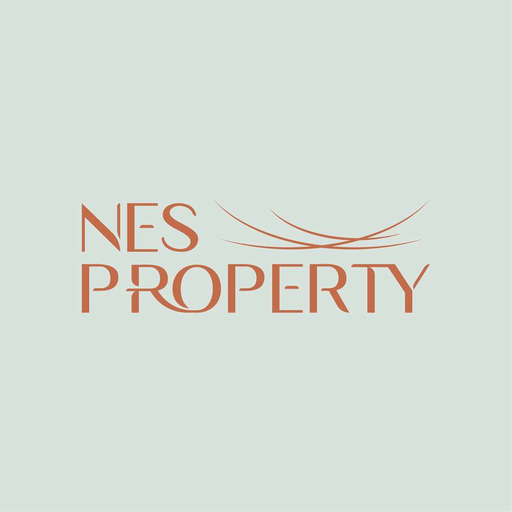 nes property