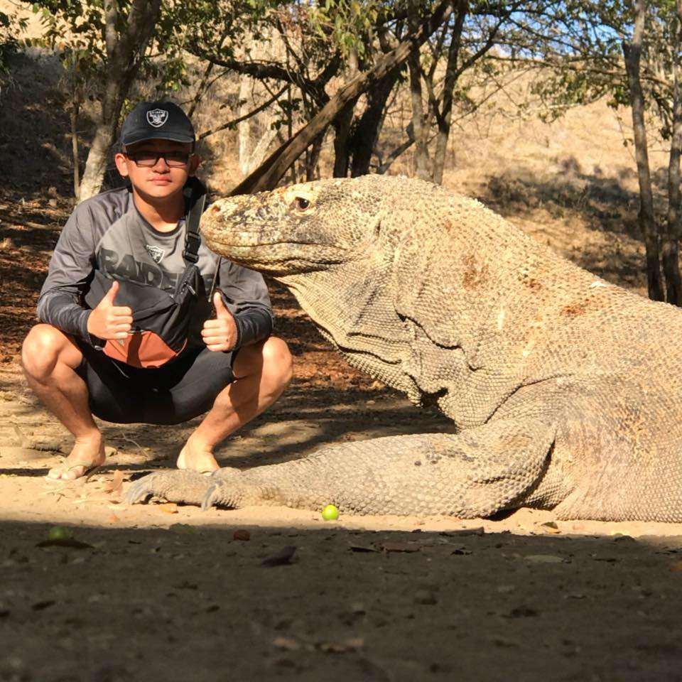 anto - noble cove pkp group ✔️