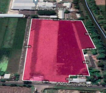 Tanah Raya Mojokerto-Lamongan