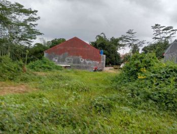 Dijual Tanah Sawahjoho Batang, Bisa Diangsur, Harga 65 Juta