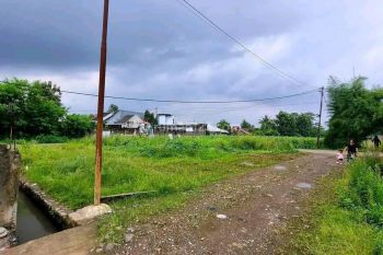 Tanah Pinggir Jalan Laladon Luas 118m2 Murah Dekat Terminal Laladon