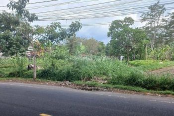 Tanah 3280 M2 di Mengwi Jl Denpasar Singaraja Badung Bali