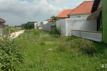 Tanah Disewakan 25 Are Pinggir Jalan Utama, Area Canggu