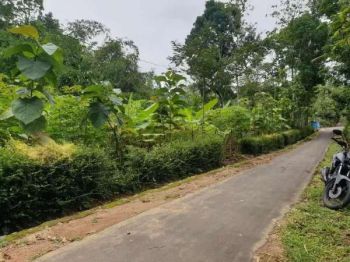 Dijual pekarangan murah Jumantono