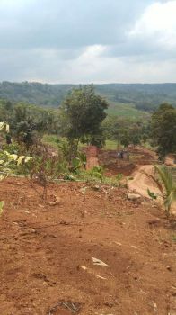 tanah murah di Bogor Timur - jual tanah murah