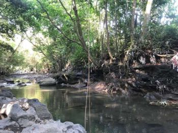 Di jual Tanah Premium Los Sungai Dan Sawah