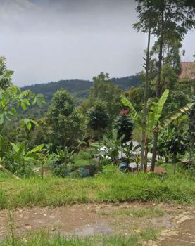 TANAH MURAH VIEW AJIB SINDANGLAYA