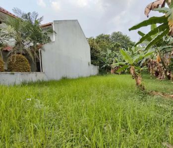 Kavling kotak dalam Cluster Acasia Pesanggrahan Jakarta Selatan